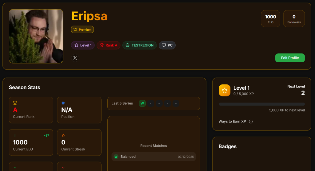 Full profile page with stats and recent matches